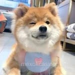 Avatar de Rebeca Cruz